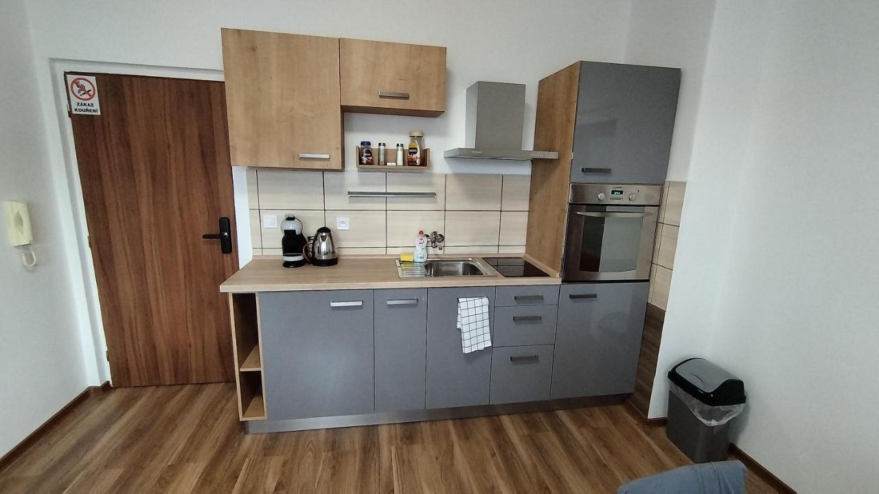 Apartman Amsel Ostrov (Karlovy Vary) Exterior foto