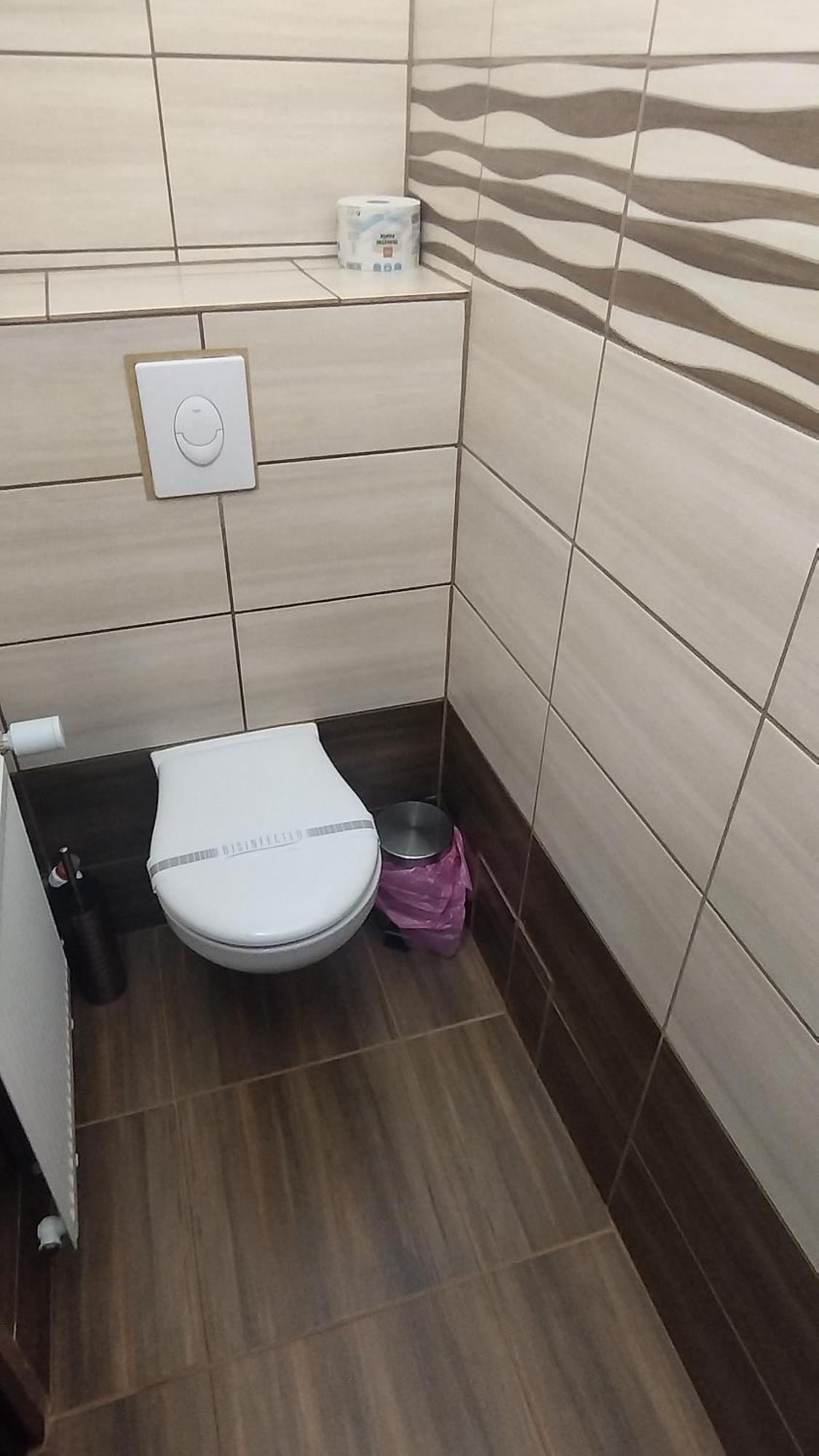 Apartman Amsel Ostrov (Karlovy Vary) Exterior foto